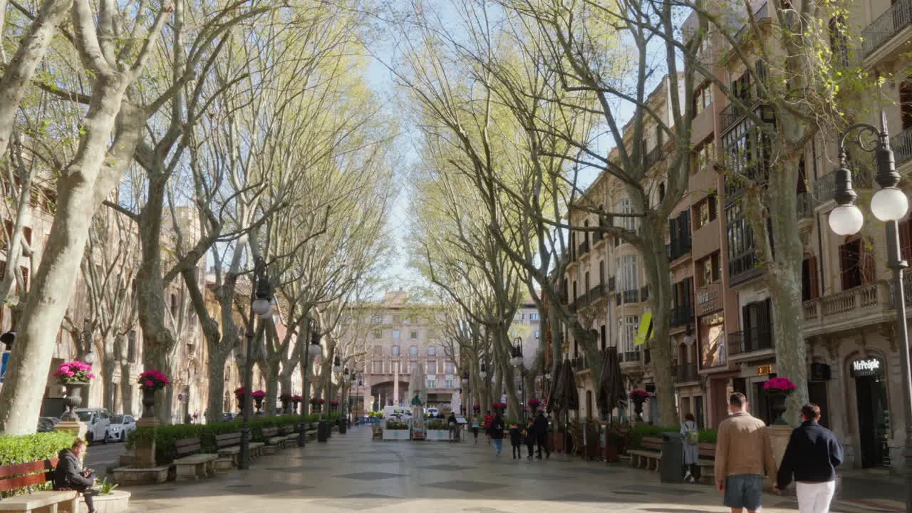 A quieter moment on La Rambla in Palma de Mallorca with fewer people taking a leisurely stroll