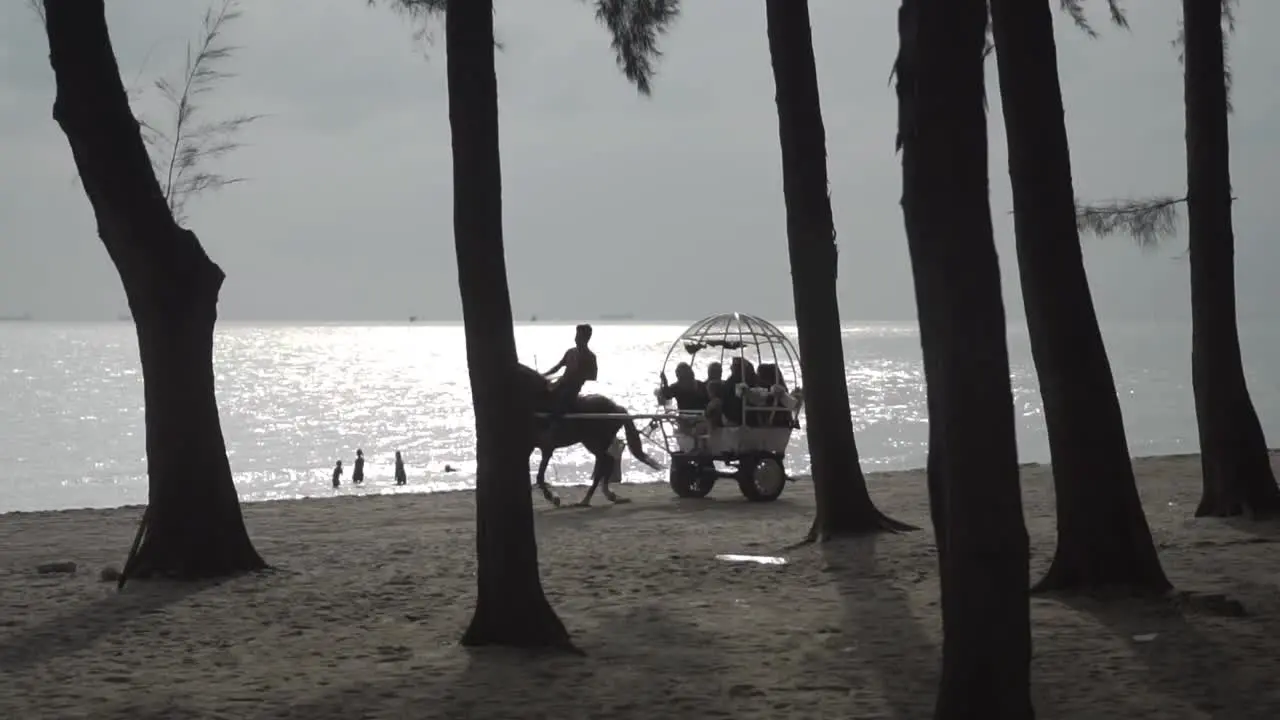 Silhouette Of Horse Carriage Passing Across The Beach With Beautiful Sunlight Reflection Sea Background