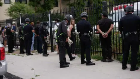 Hollywood A Line of Protesters Arrested and Zip Tied against Fence