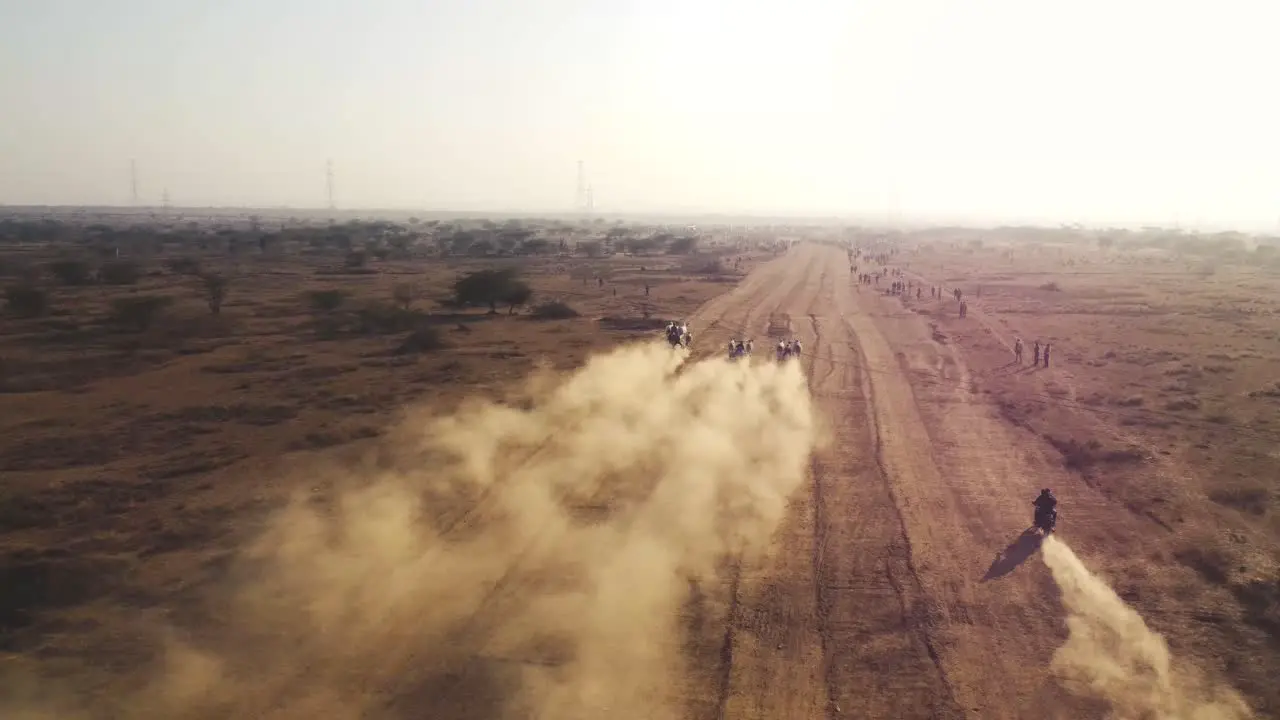 Aerial drone view of ox or cow race in a dusty field in India