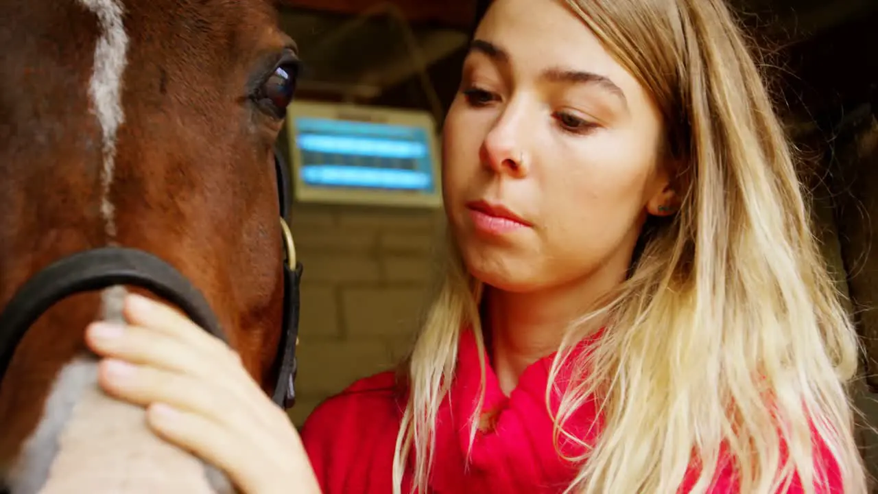 Woman stroking a horse in stable 4k