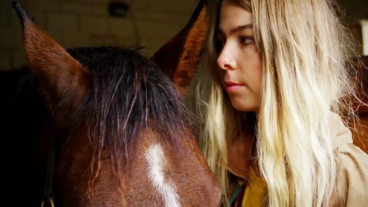 Woman stroking horse in stable 4k