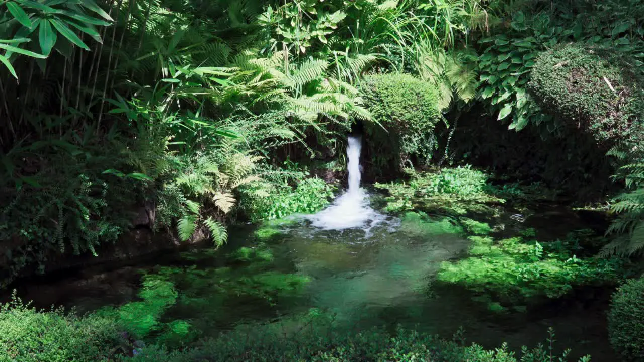 Fresh water flows into a pond surrounded by green plants in Meran South Tyrol