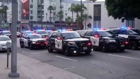 Hollywood Rows of Static Police Cars Blocking Road