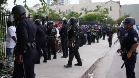 Hollywood Police Line Up Arrested Protesters Against Fence