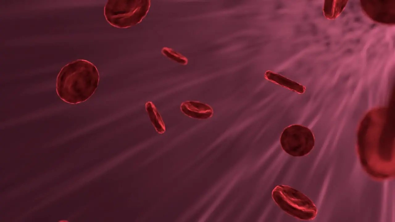 Digital animation of red blood cells vein traveling in the blood inside the human body medical concept