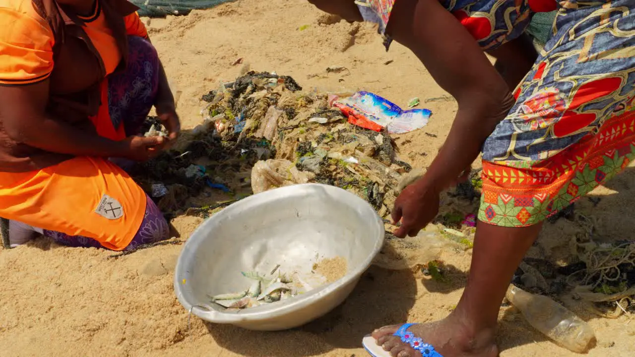 African women selecting fish from a fishing net on a beach in Ghana