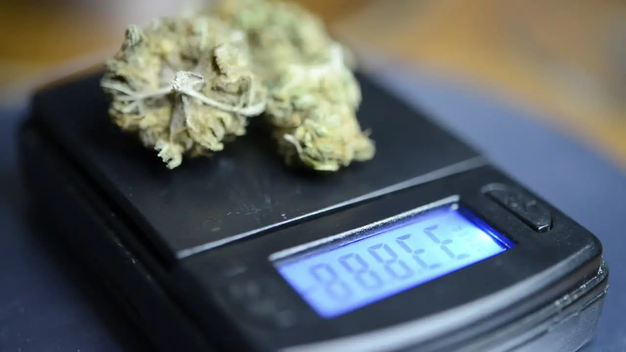 Close up rotating shot marijuana flower buds on a black weighing scale