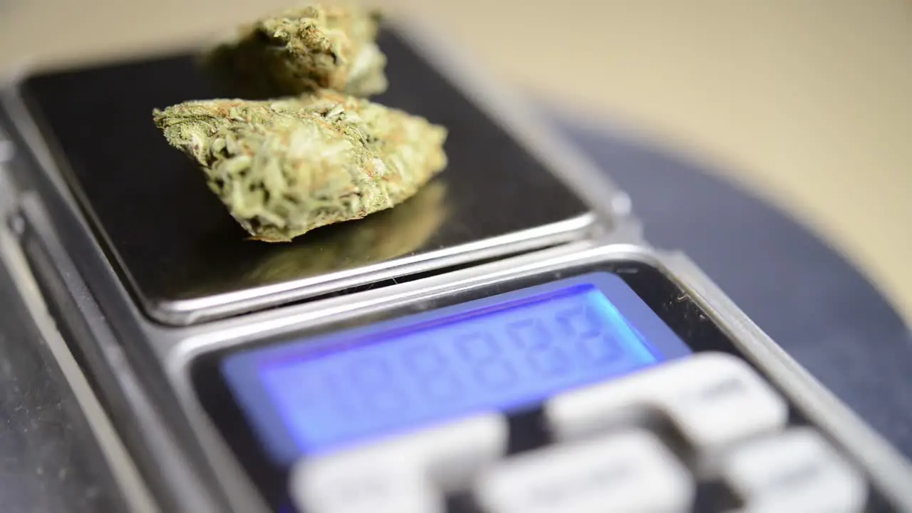 Close up rotating shot marijuana flower on a weighing scale