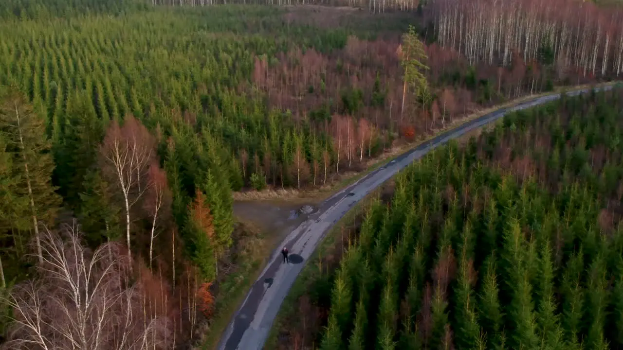 Aerial of person walking on a road in a forest lighting a yellow smoke grenade