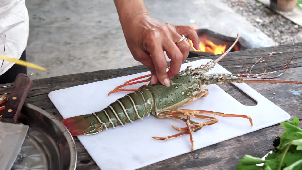 Person preparing raw lobster ready to cook Clay stove burning Background