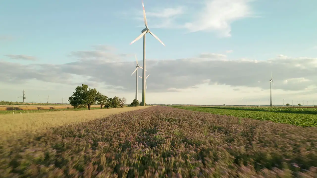 Aerial forward moving footage of a field and wind turbines in the background