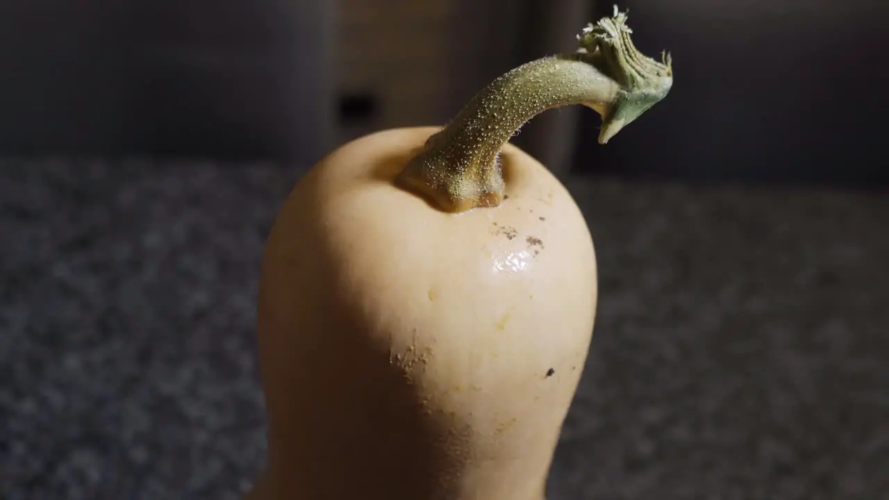 Butternut on the kitchen island close up view zoom in