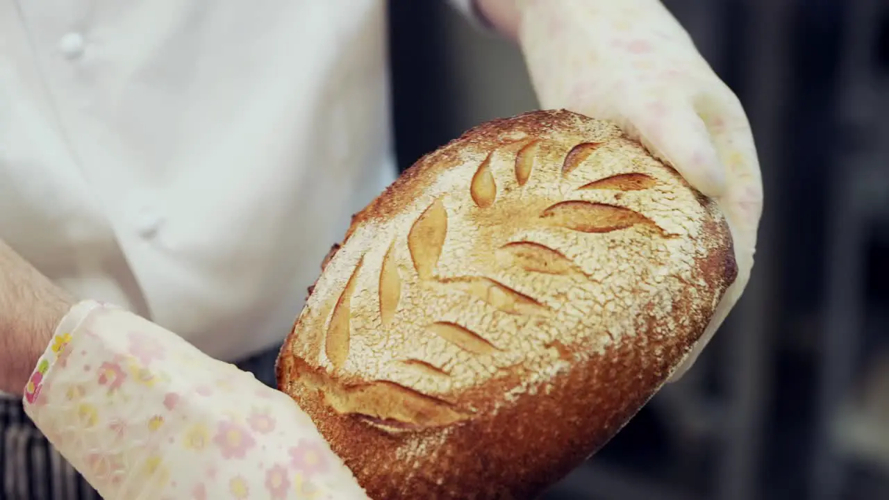 Closeup baker holds homemade fresh wheat bread just pulled out of oven