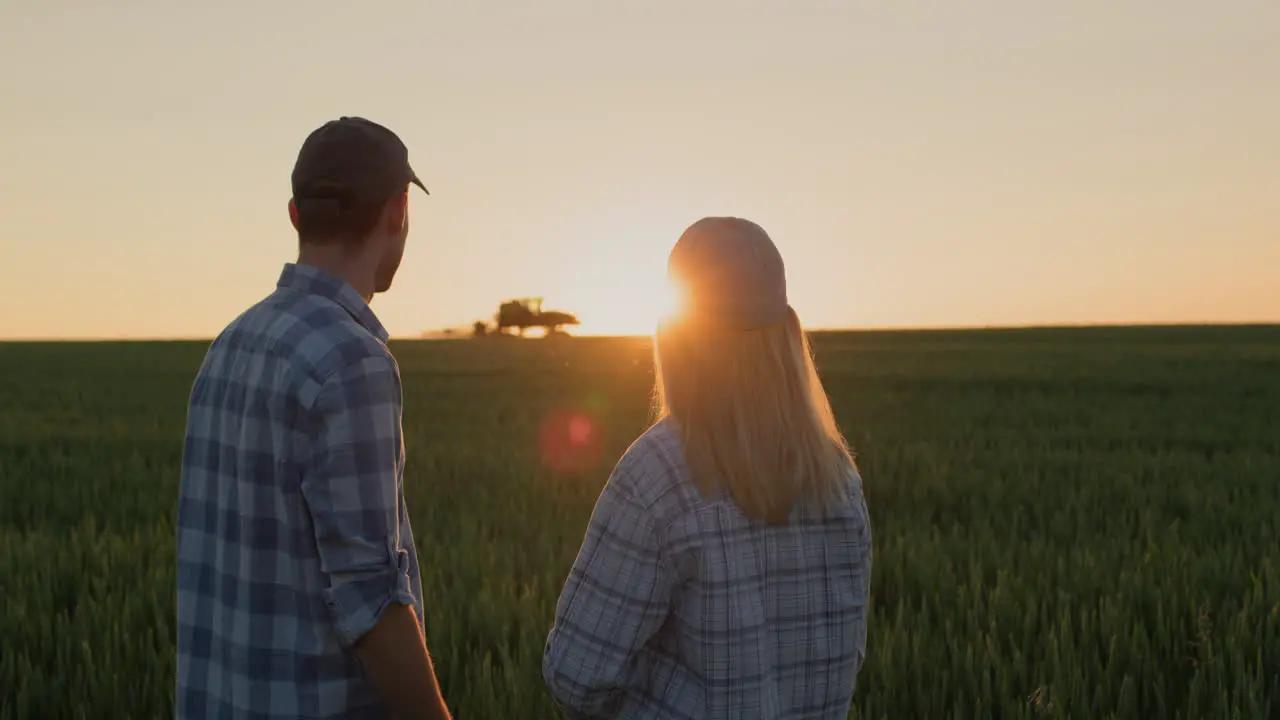 A young couple of farmers watch how a tractor works in the field Stand side by side against the backdrop of a field of wheat where the sun is setting