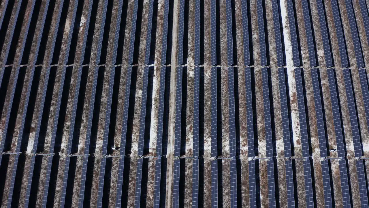 Aerial view of solar panels stand in a row in the fields green energy landscape electrical power ecology