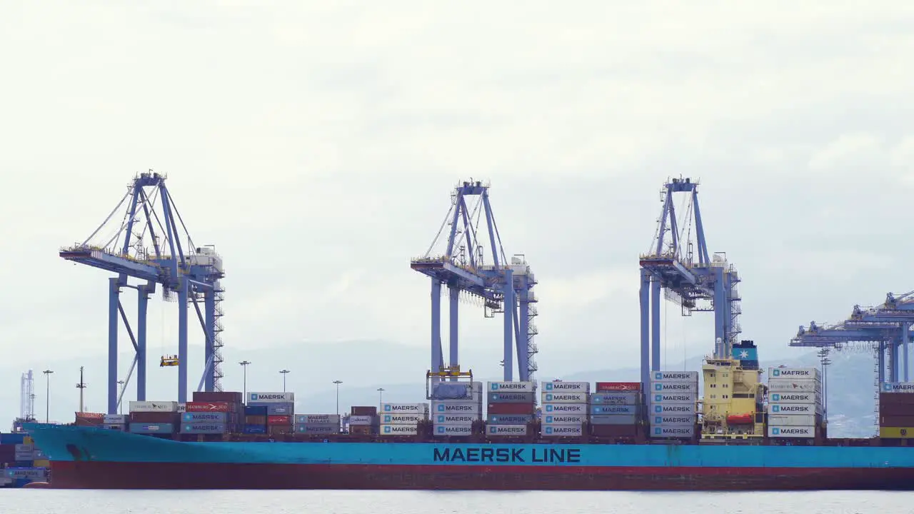 Maritime Trade Port Activity