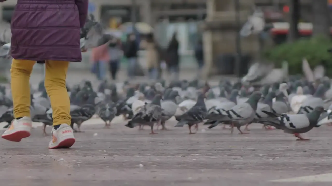 Child lower running through Slow motion city life flock of pigeons bustling on pedestrian pavement