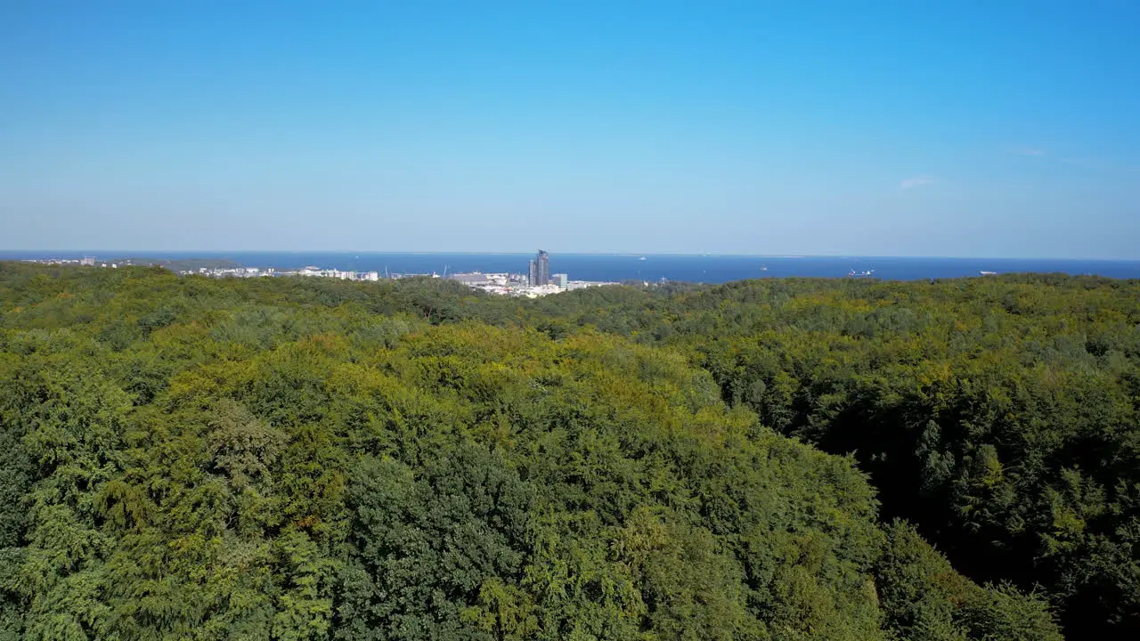 Aerial Rise Over Forest Landscape with Gdynia City and Sea in Background on Sunny Day with Blue Sky Poland