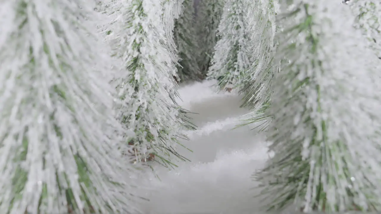 timelapse of footprint appearing in the snow-covered forest