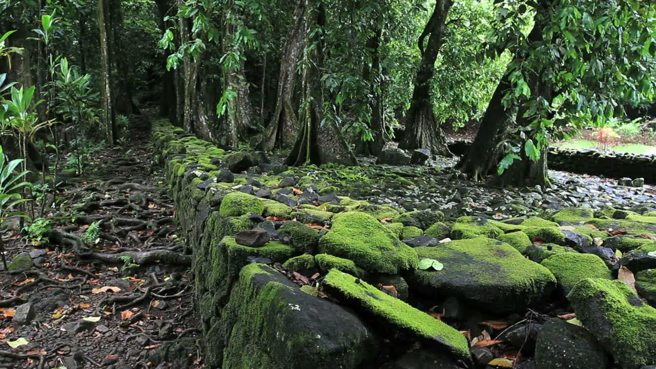 Marae wall with mossy stones