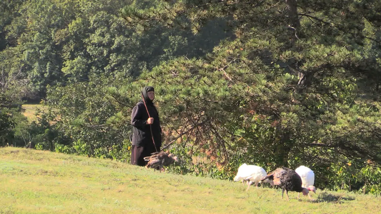 Romania nun tending turkeys cx 3