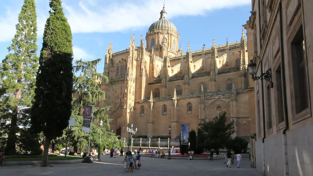 Salamanca cathedral 1