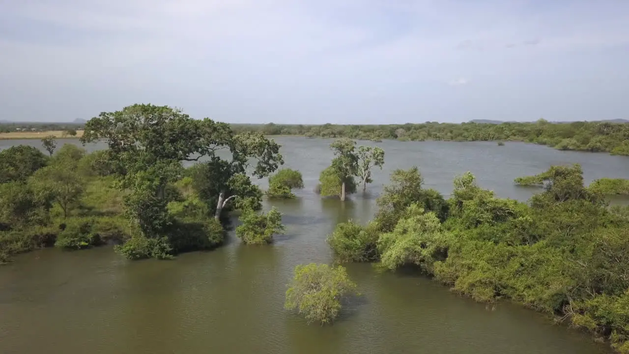 Flyover Shallow flooded swamp wetland in lush green jungle Yala Park