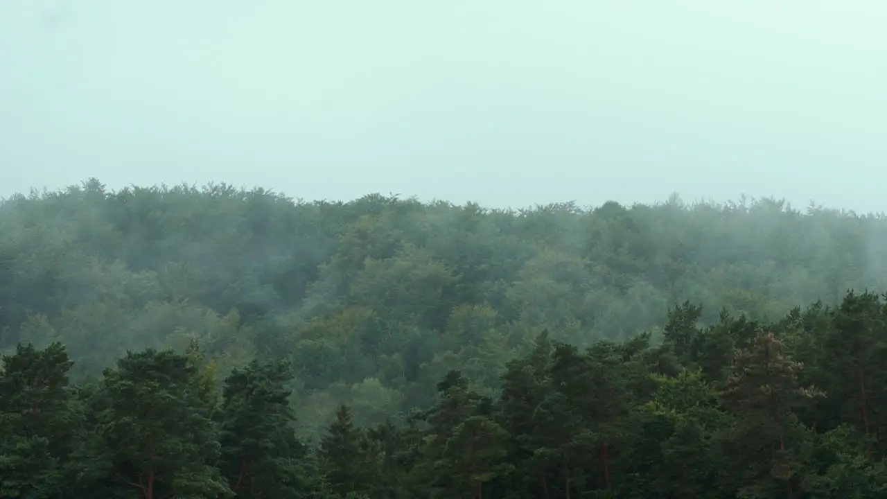 Clouds of mist over the green forest landscape of Poland Time lapse