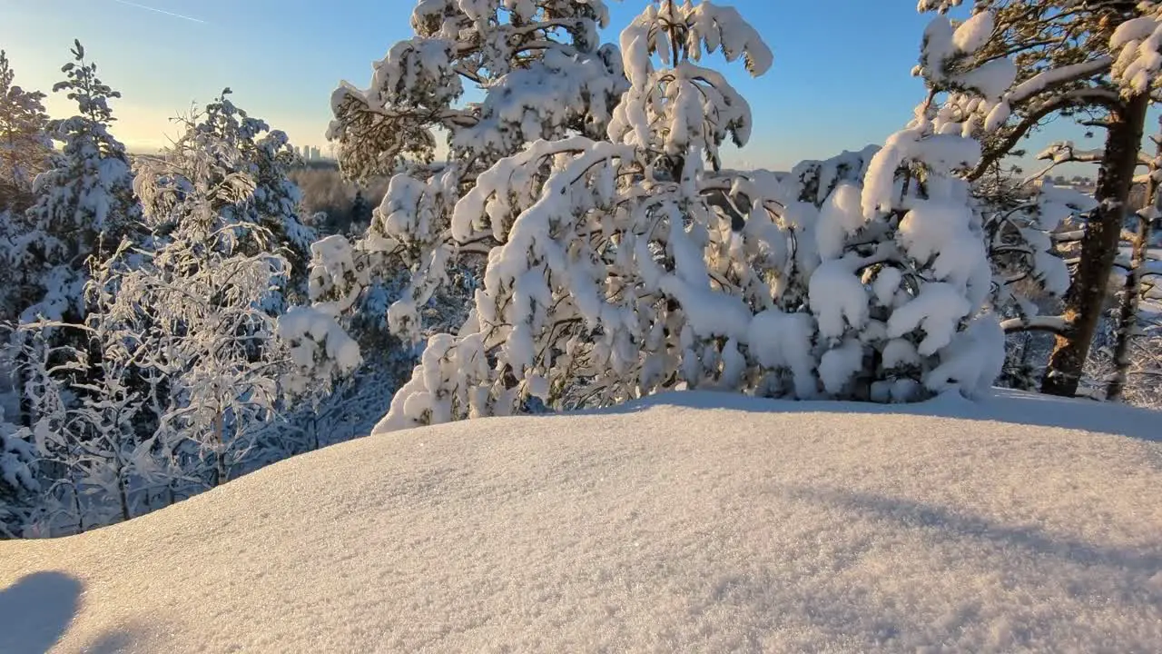 Winter travel destination winter landscape Finland