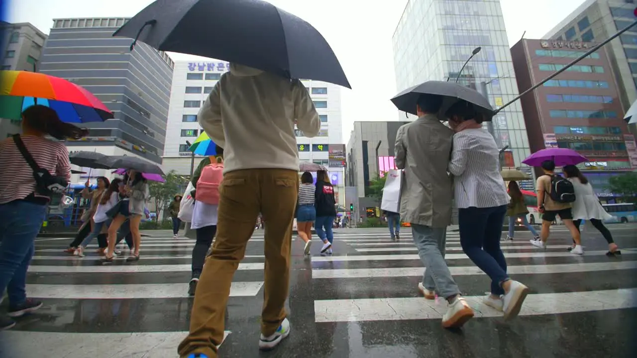 People Crossing the Street in the Rain