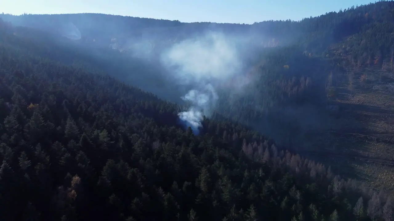 Aerial view of a forest area with lumberjack burning wood making a fire with smoke in the mountain