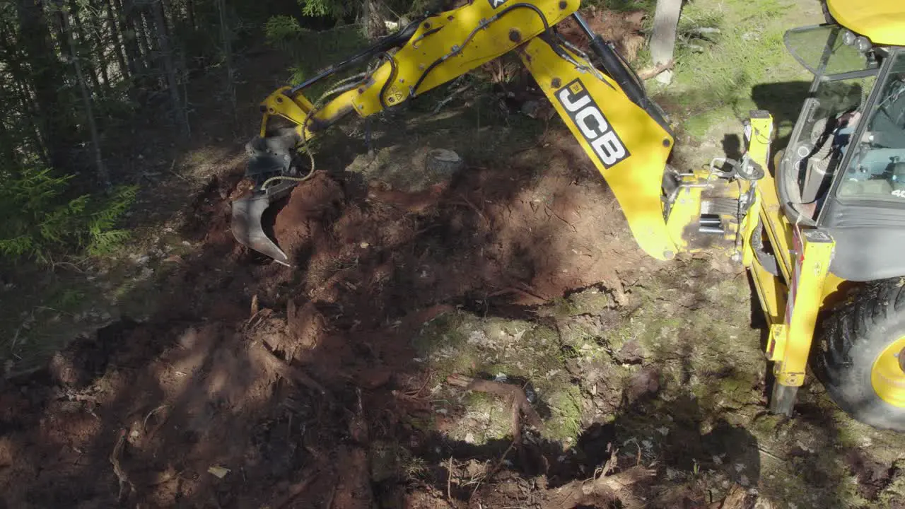 JCB tractor working in forest digging out tree roots from sand on top of hill