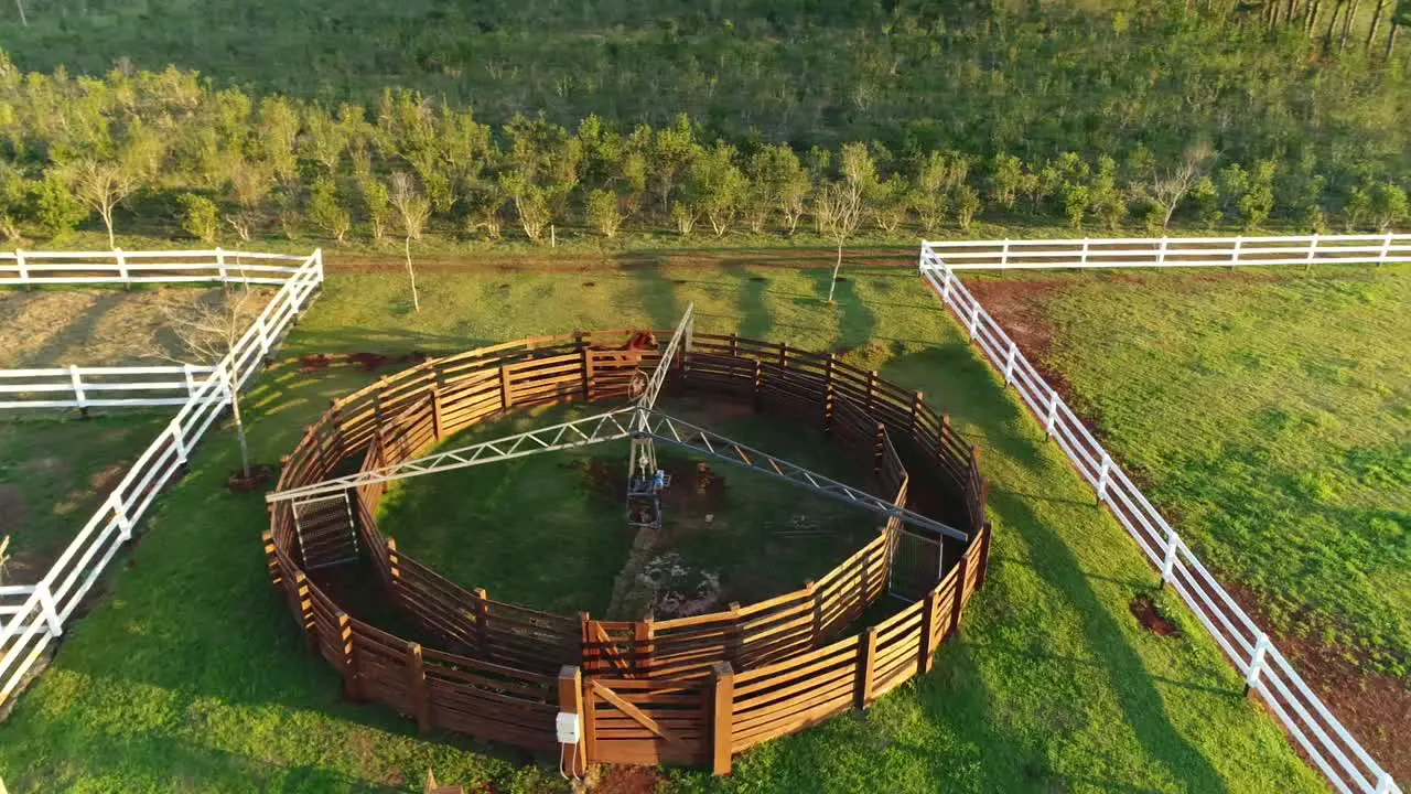 An aerial view of an Arabian horse training session