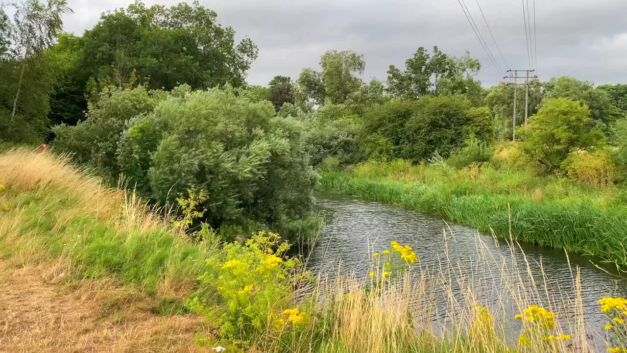 Beautiful river with green fields tall grass and forest bushes in Chippenham England windy weather 4K shot