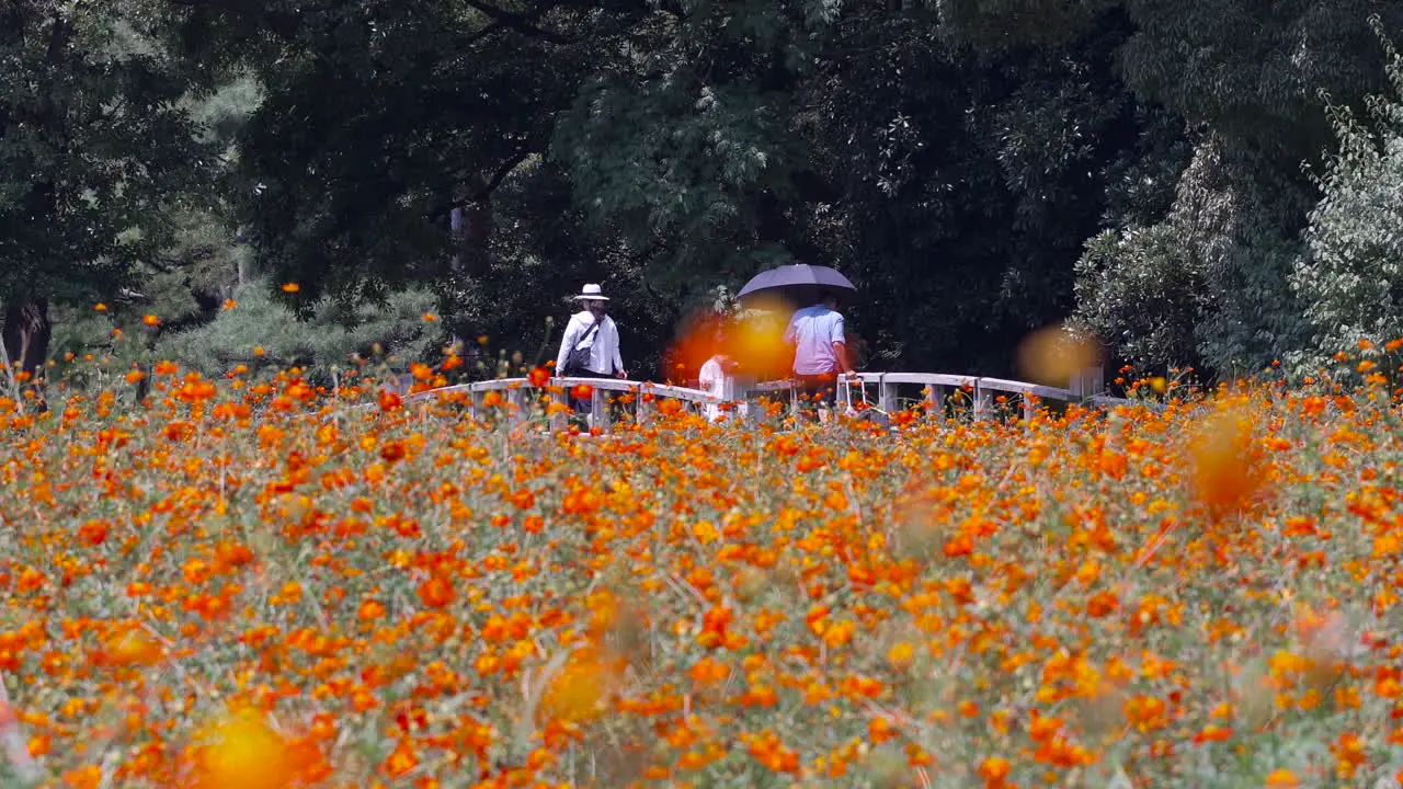 Family walking over wooden bridge in park with colorful flower field in front