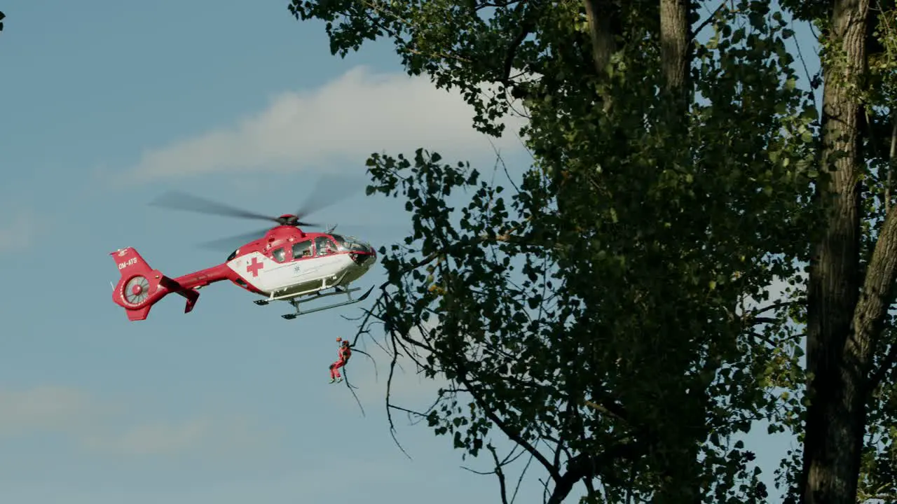 Medical crew hanging from flying Red cross Helicopter Trees in foreground sunny day slowmotion