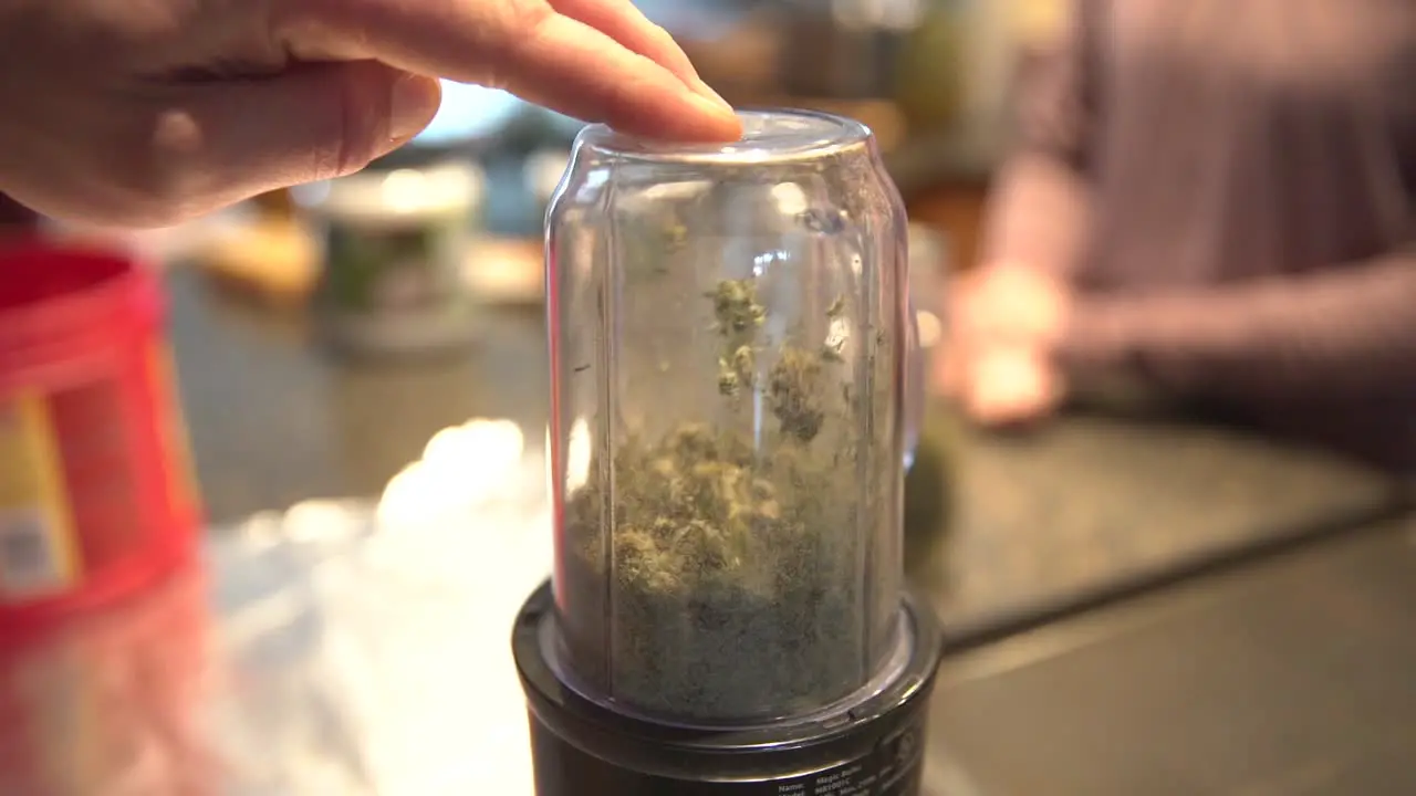 Cannabis Processed Finely In Production Of Medicinal Remedies close up shot