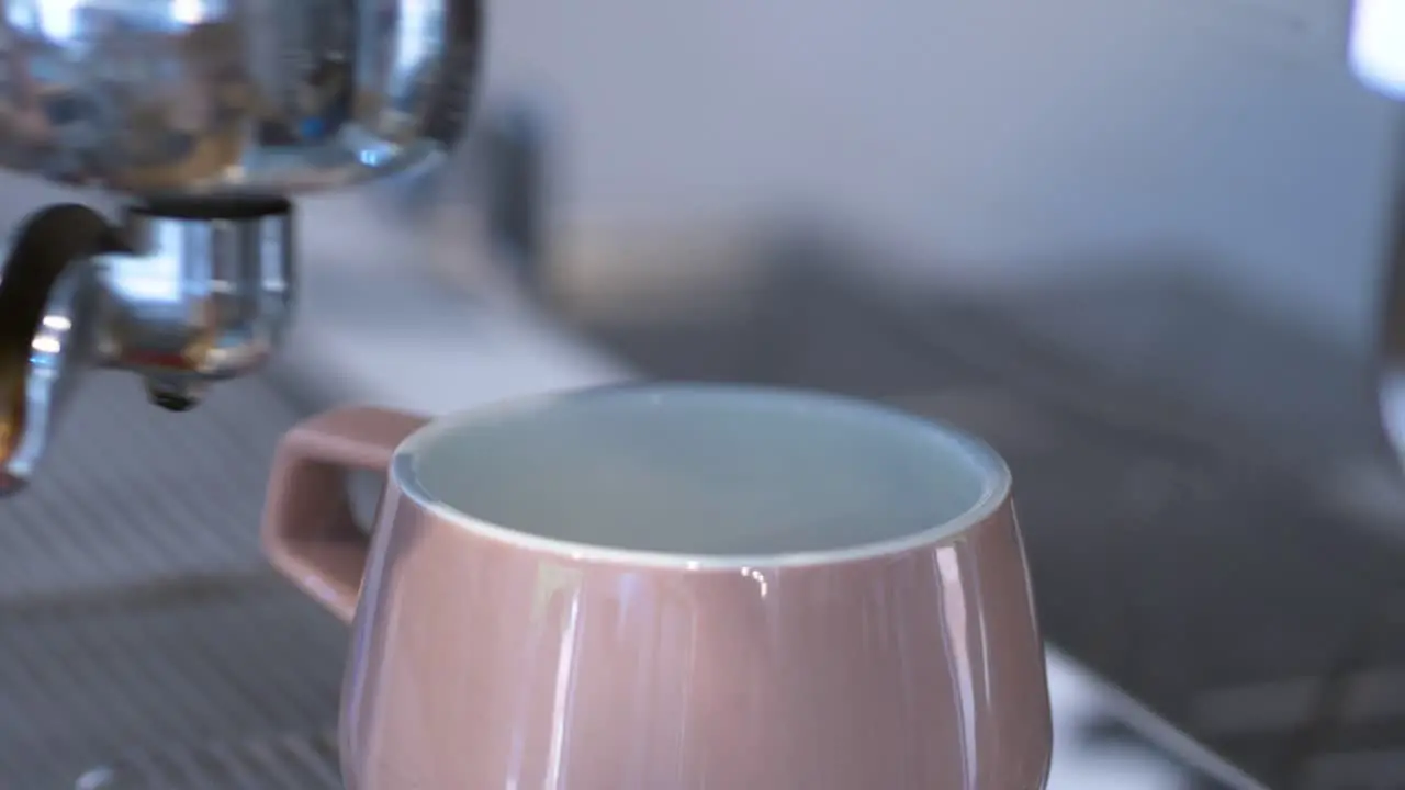 Fresh ground coffee in porta filter attached to coffee machine in cafe closeup