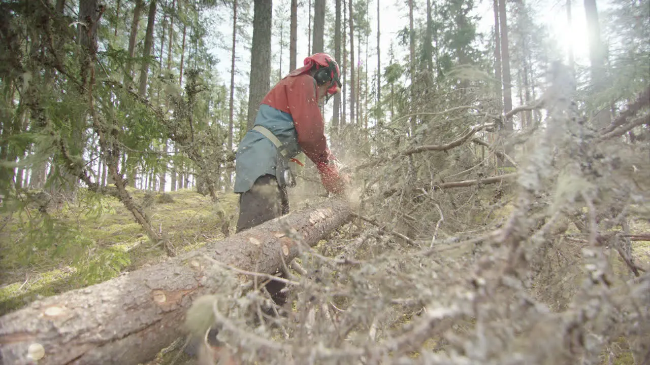 SLOW MOTION BACKLIT wood chips fly towards the camera lens Sweden