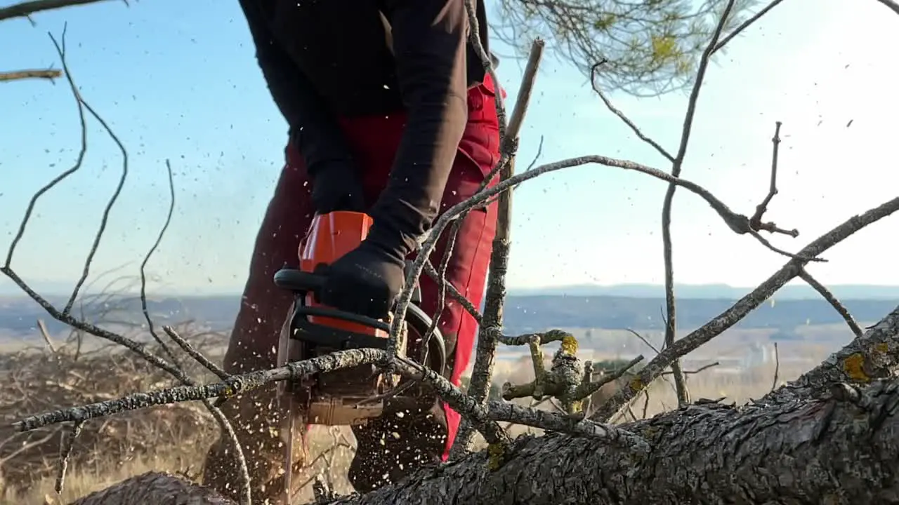 Sawyer woman works with a helmet and a transparent visor in a European forest