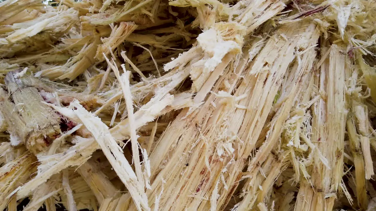 Sugarcane bagasse used to make sugar cane juice