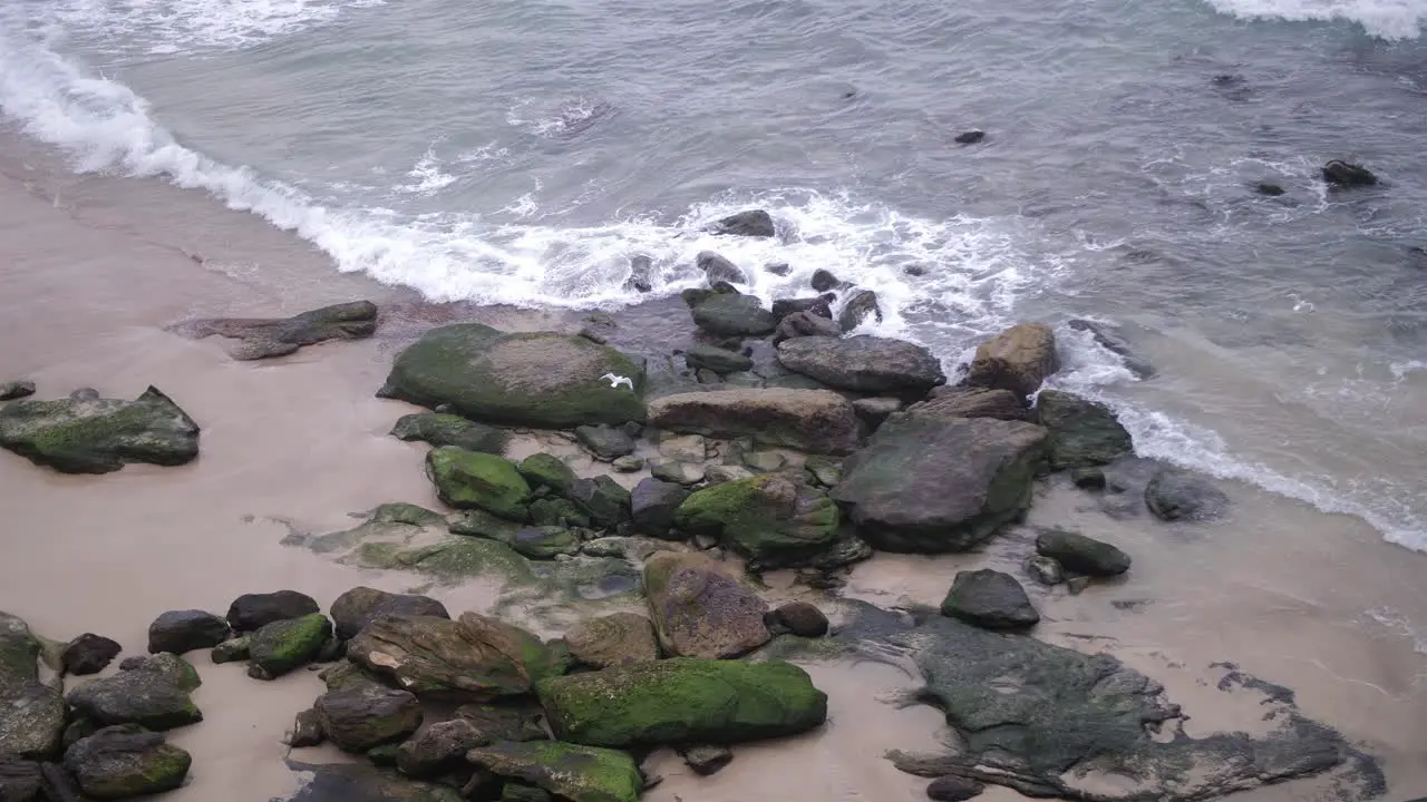 Birds Flying Around To The Now Cordoned Off Bondi Beach Because Of Worldwide Coronavirus-19 Emergency