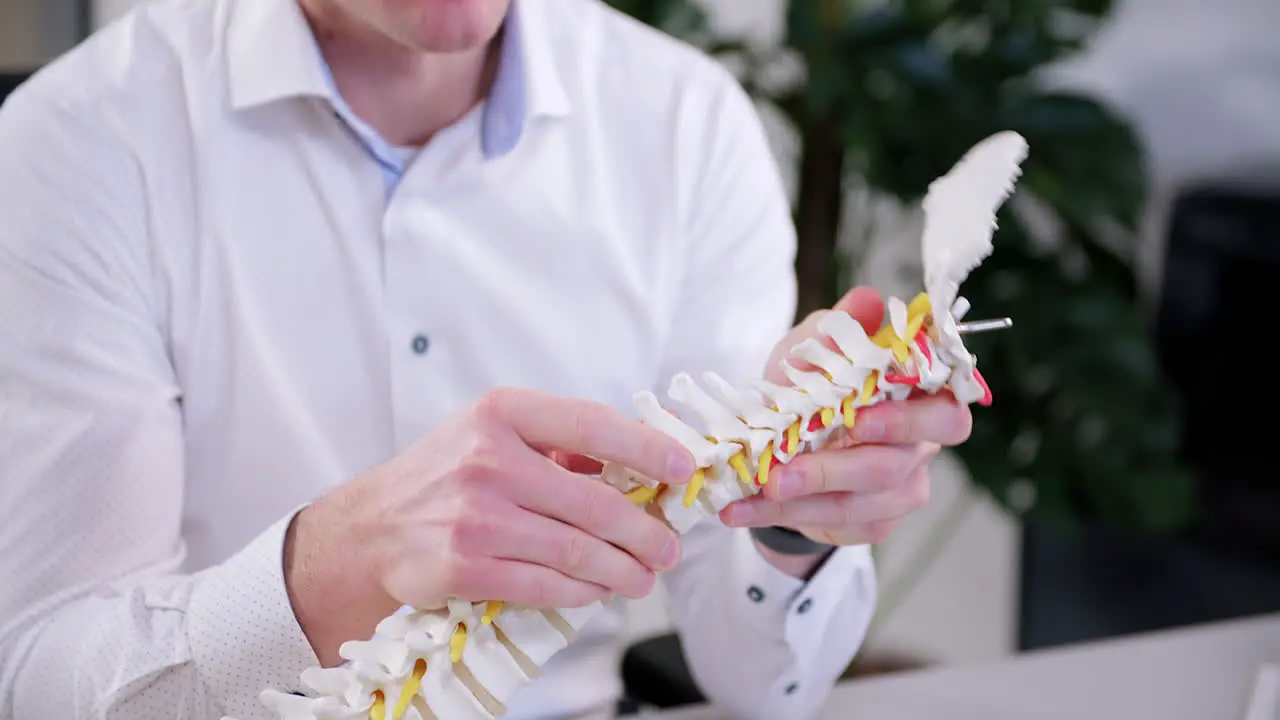 the chiropractor explains to the patient about cervical vertebrae on an artificial spine