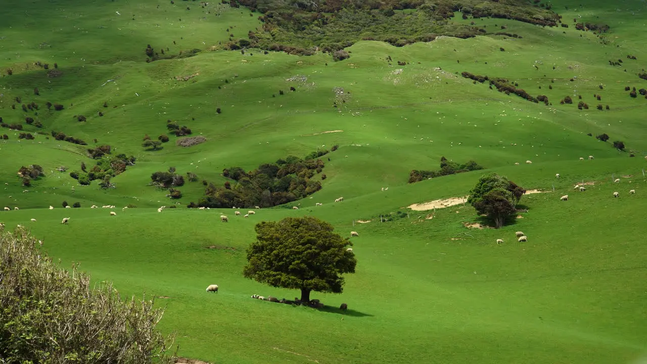 Dramatic New Zealand scenery