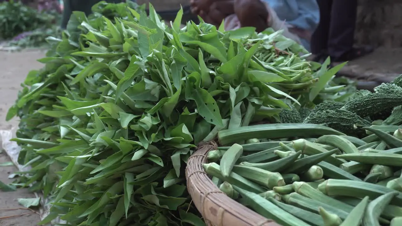 There are many kinds of vegetables in the basket