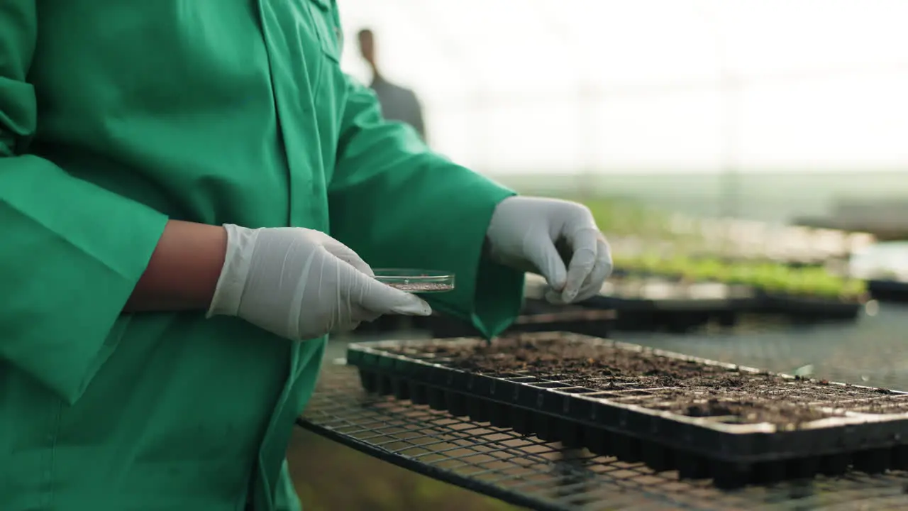 Greenhouse farming and hands planting seeds