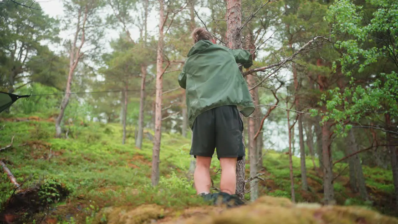 Caucasian Guy Setting Up Hammock Camping Shelter In Forest