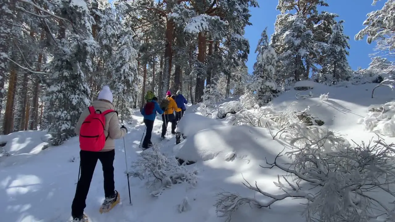 People Group Hiking With Rackets On Snowy Winter Mountain Forest Trail