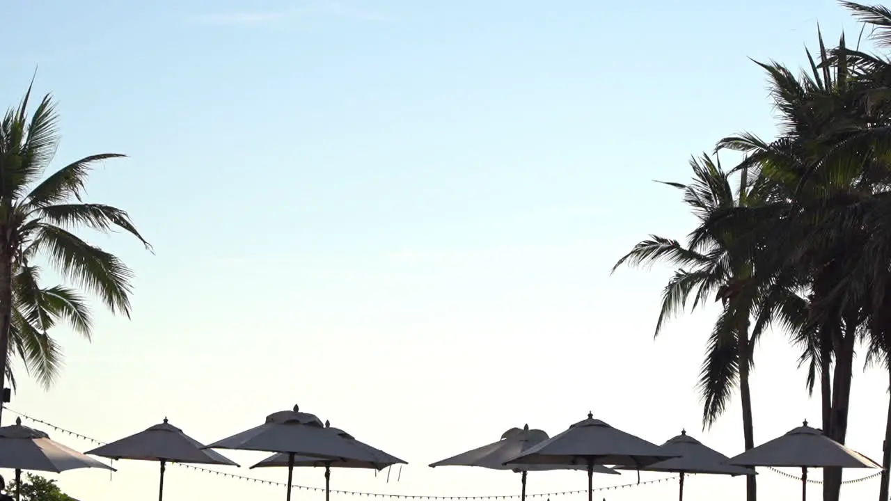 A tropical sky is framed by palm trees and beach umbrellas